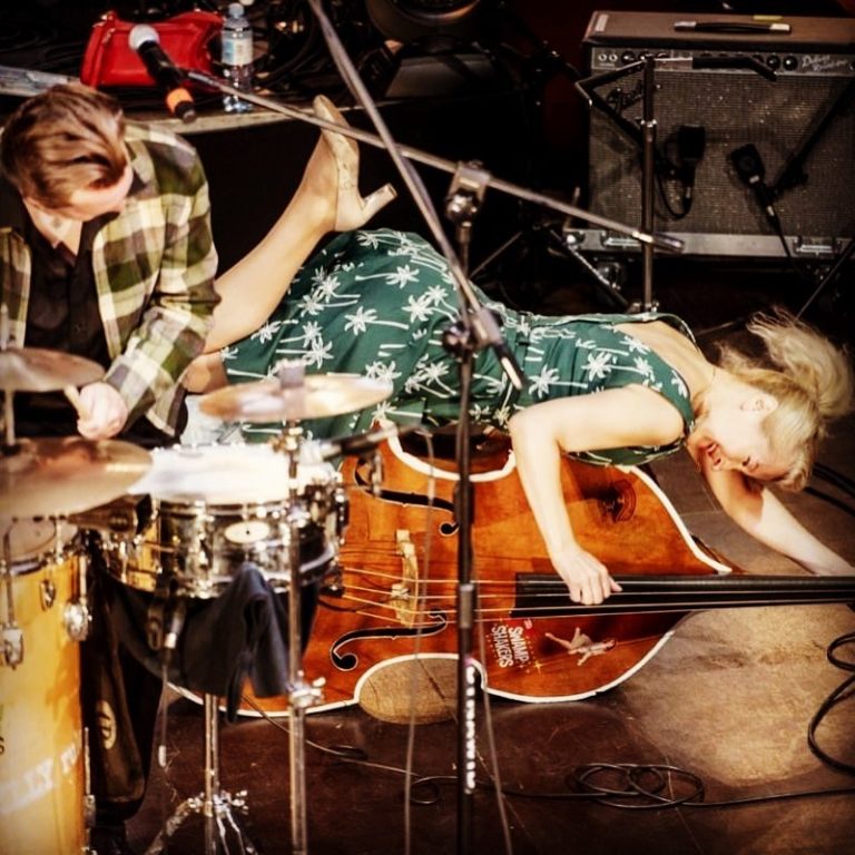 The Swamp Shakers Don't Wanna Miss (2019) Питомцы Андерсона Rock