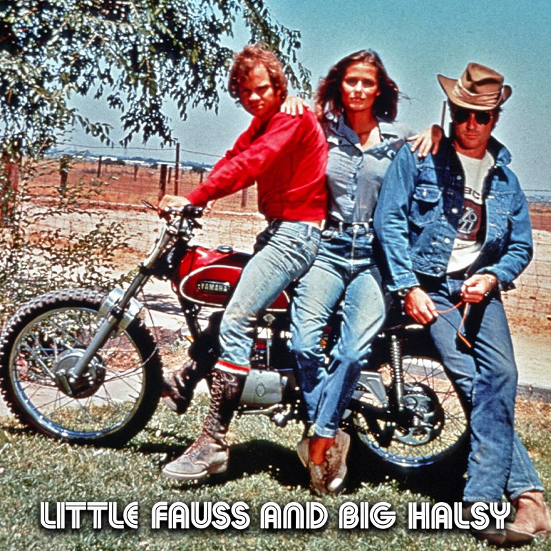 Малыш Фаусс и Большой Хэлси, краткий обзор