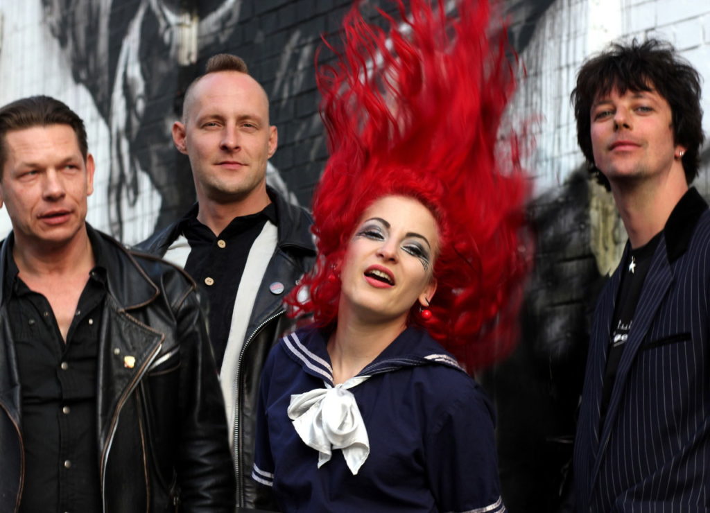 Bonsai Kitten 2010-ые