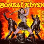 Bonsai Kitten: как стать собой, перестав быть собой
