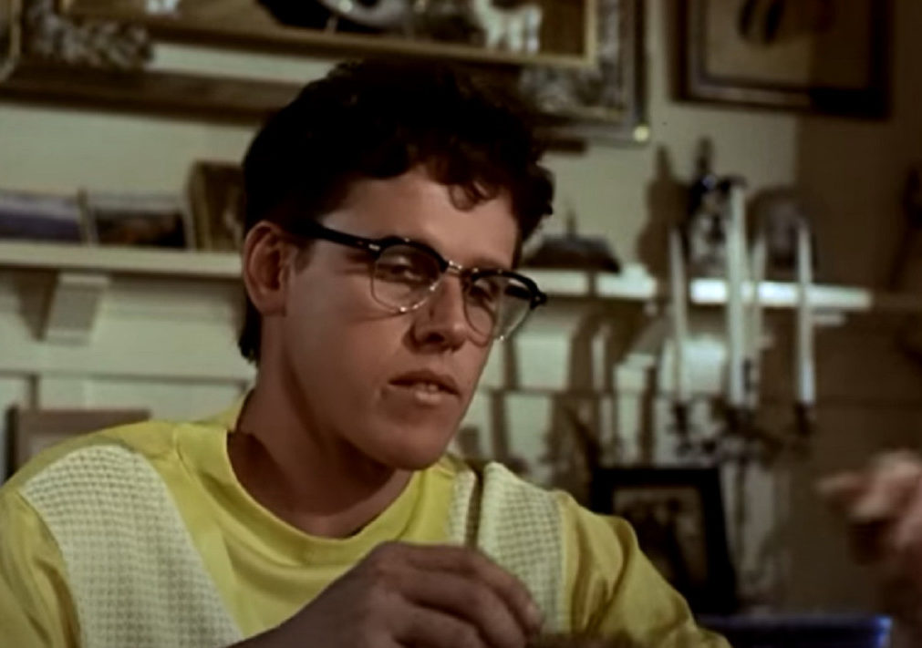 Гари Бьюзи, фильм История Бадди Холли