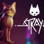Stray: городской блюз маленького бродяги