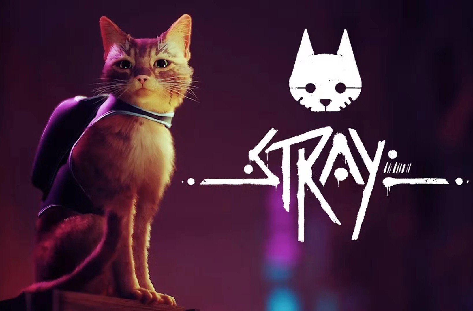 Stray, обзор видеоигры про кота