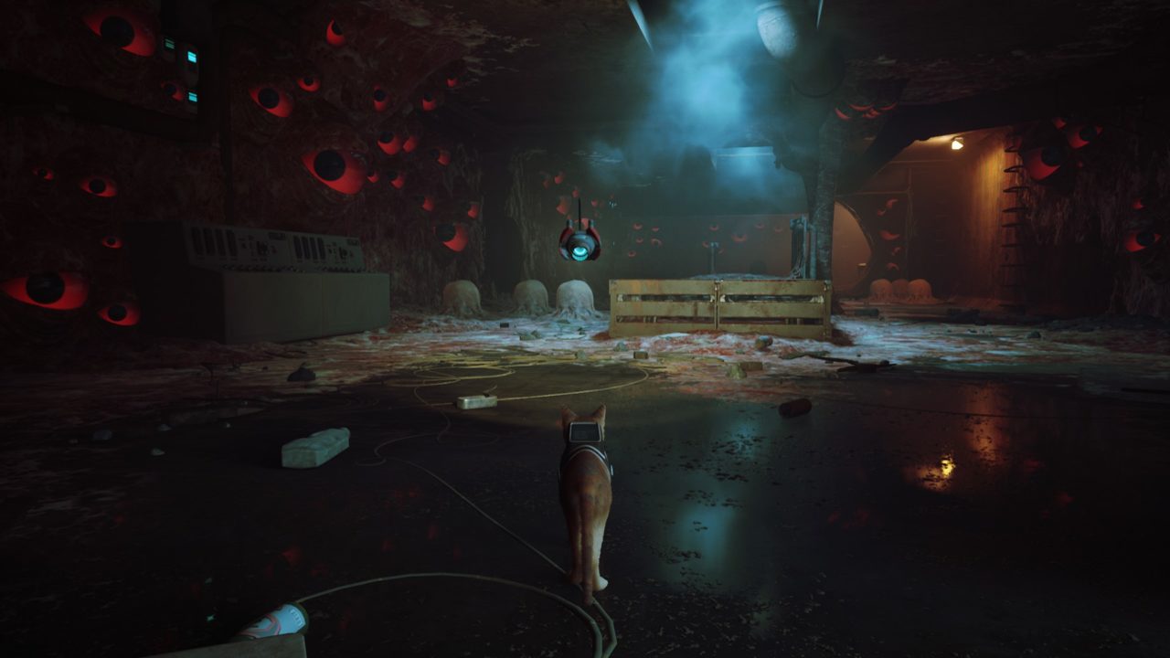 stray-08 скриншот из игры Stray (2022)